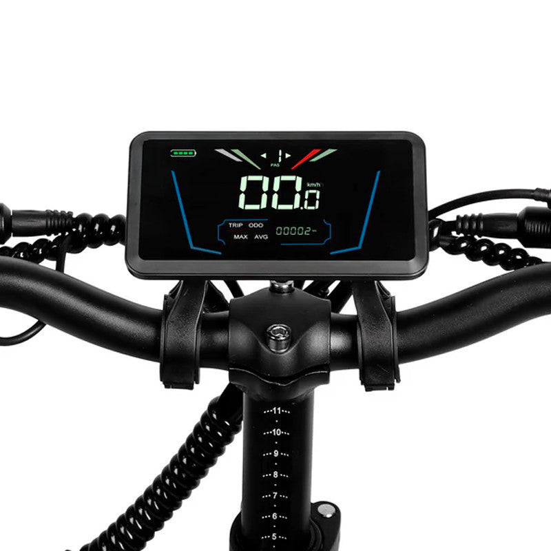 Victrip Bici Elettrica Fat Bike R5 250W/750W