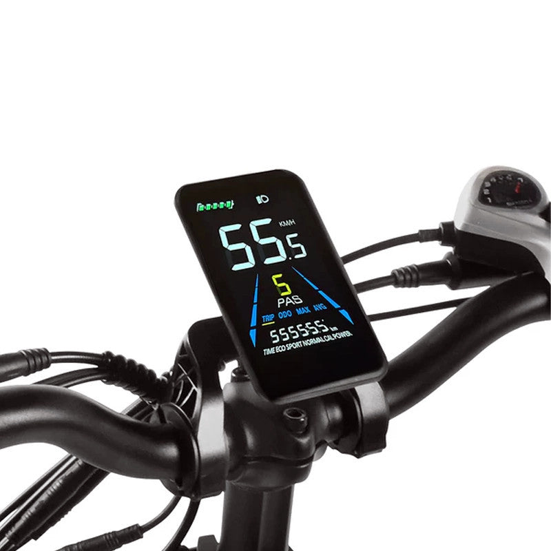 Victrip Bici Elettrica Fat Bike Titan S 250W 48V
